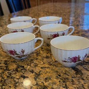 Moss Rose 31/10 A Porcelain China Tea Cup Set of 6